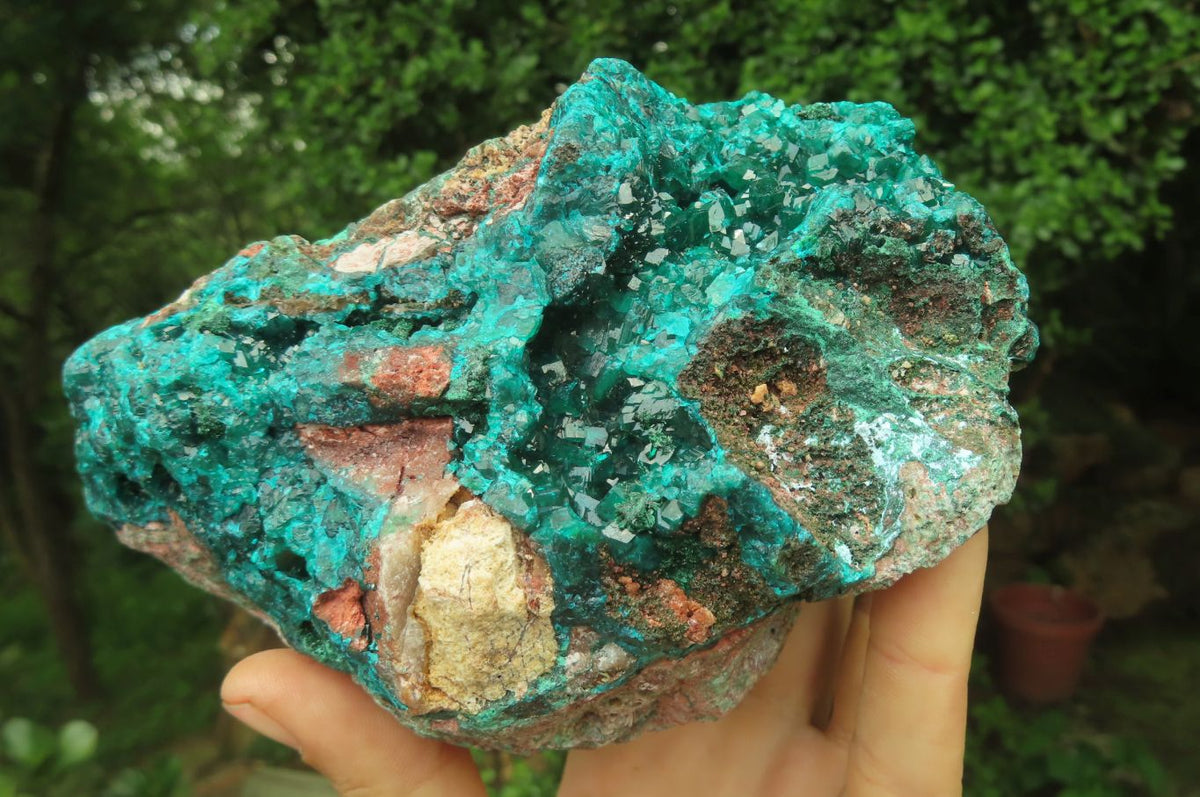 Natural Dioptase Cabinet Specimen x 1 From Reneville Brazzaville, Congo - Toprock Gemstones and Minerals 
