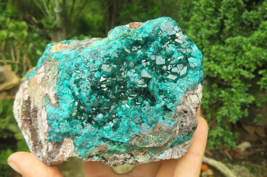 Natural Dioptase Cabinet Specimen x 1 From Reneville Brazzaville, Congo - Toprock Gemstones and Minerals 