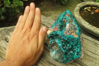 Natural Dioptase Cabinet Specimen x 1 From Reneville Brazzaville, Congo