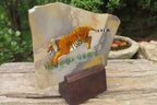 Hand Made Tiger Decoupage on Polychrome Jasper Stone Slabs - sold per item - From Madagascar - Toprock Gemstones and Minerals 