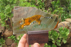 Hand Made Tiger Decoupage on Polychrome Jasper Stone Slabs - sold per item - From Madagascar - Toprock Gemstones and Minerals 