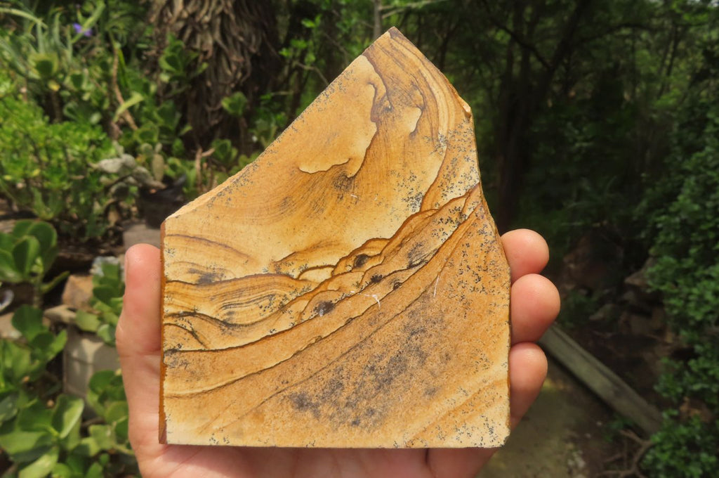 Hand Made Tiger Decoupage on Picture Stone Jasper Stone Slabs - sold per item - From Namibia - Toprock Gemstones and Minerals 