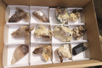 Natural Smokey Quartz & Feldspar Clusters x 12 From Malawi - Toprock Gemstones and Minerals 