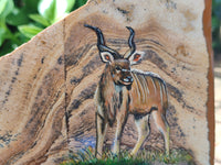 Hand Made Kudu Buck Decoupage on Picture Stone Stone Slabs - sold per item - From Namibia