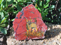 Hand Made Kudu Decoupage on Red Jasper Stone Slabs - sold per item - From South Africa - Toprock Gemstones and Minerals 