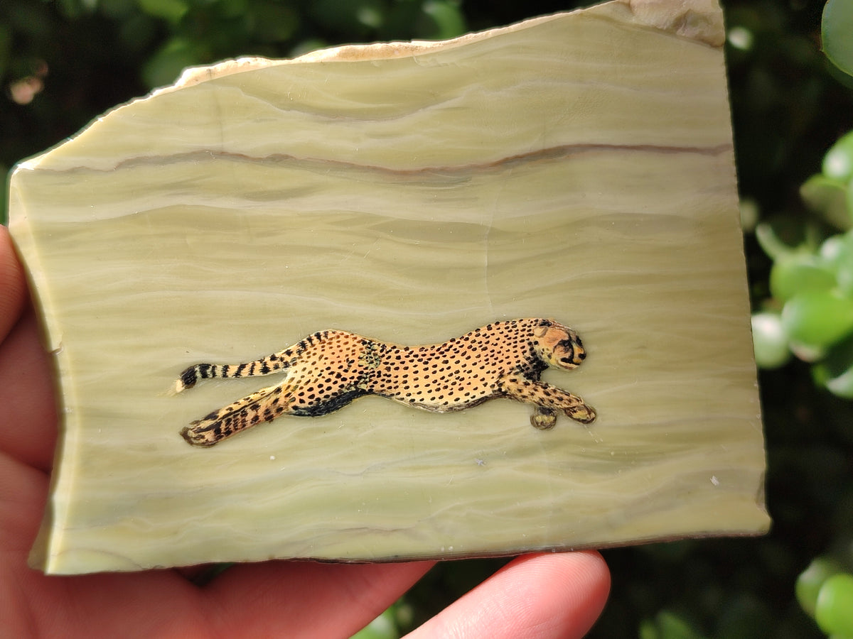 Hand Made Cheetah Decoupage on Butter Jade Stone Slabs - sold per item - From South Africa - Toprock Gemstones and Minerals 