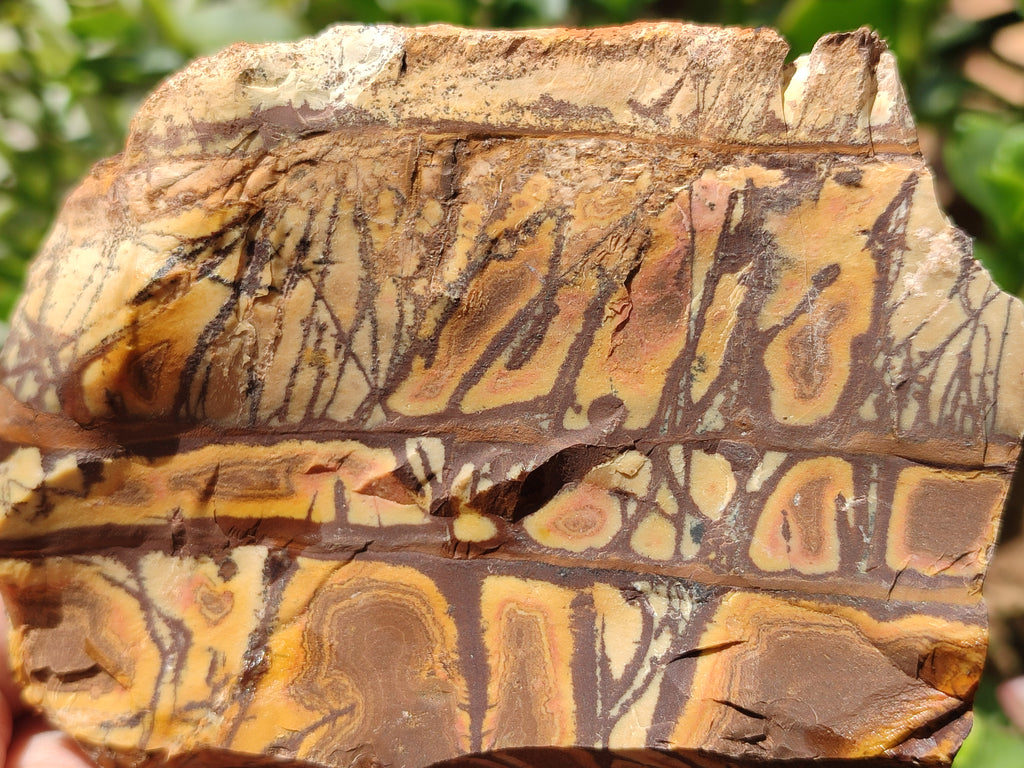 Natural Nguni Jasper Cobbed Specimens x 4 From Prieska, South Africa - Toprock Gemstones and Minerals 