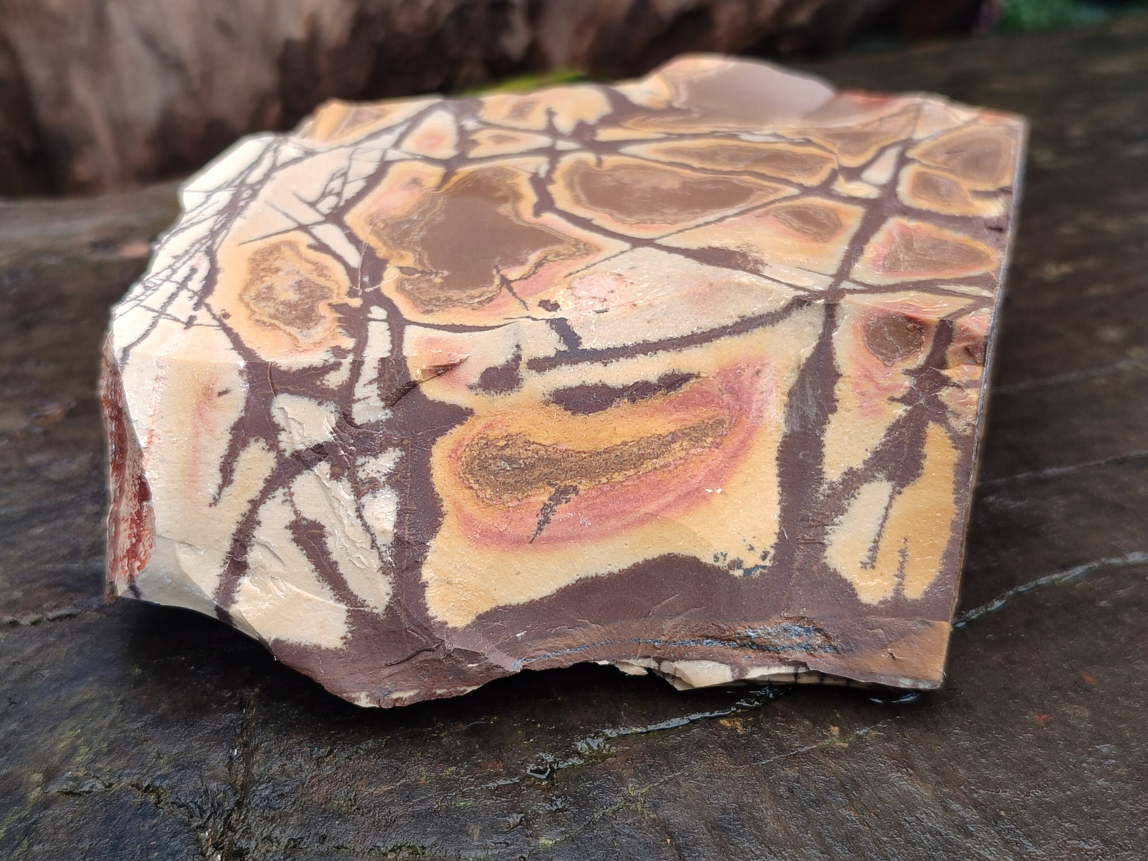 Natural Nguni Jasper Cobbed Specimens x 4 From Prieska, South Africa - Toprock Gemstones and Minerals 