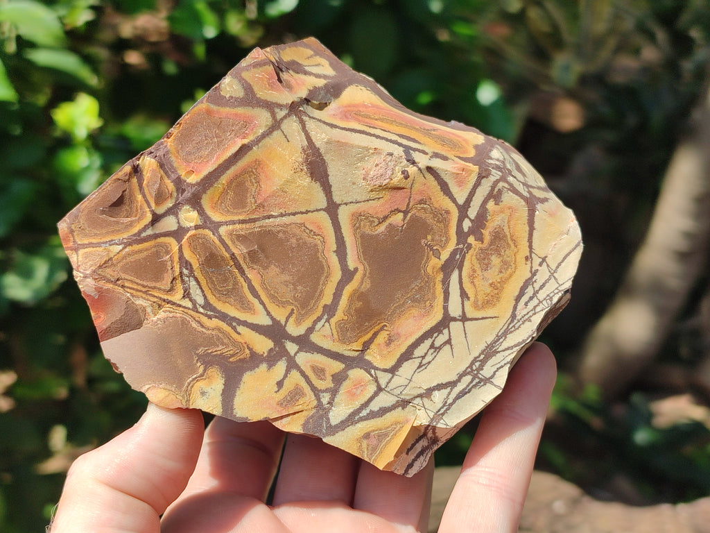 Natural Nguni Jasper Cobbed Specimens x 4 From Prieska, South Africa - Toprock Gemstones and Minerals 