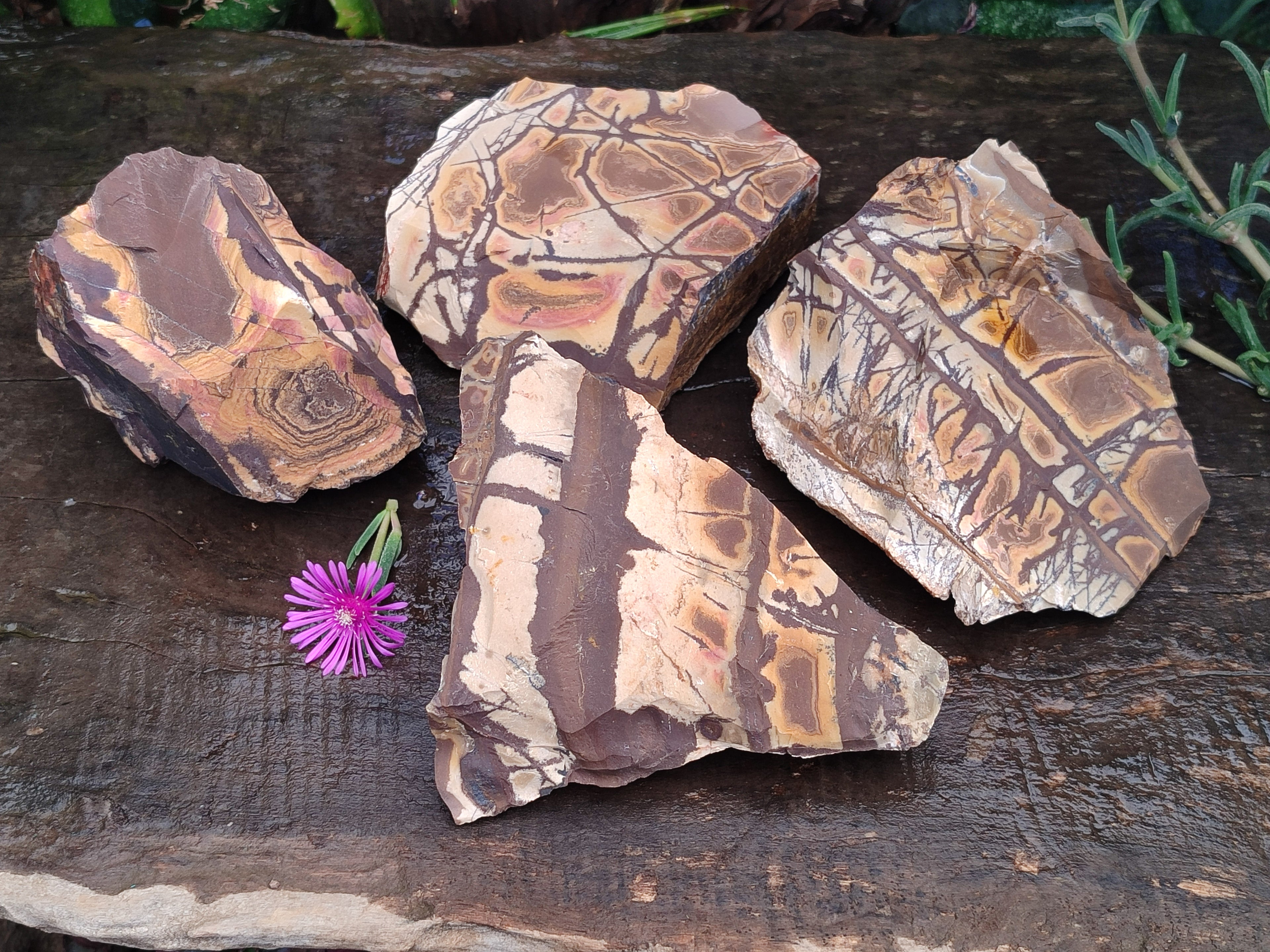 Natural Nguni Jasper Cobbed Specimens x 4 From Prieska, South Africa - Toprock Gemstones and Minerals 