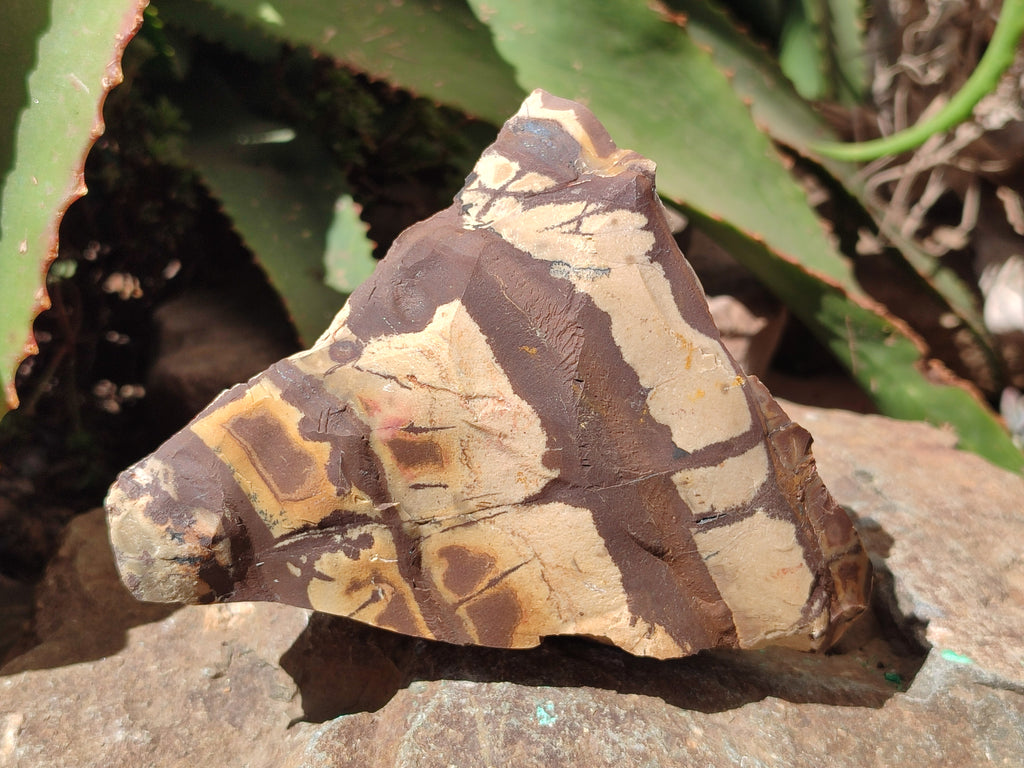 Natural Nguni Jasper Cobbed Specimens x 4 From Prieska, South Africa - Toprock Gemstones and Minerals 