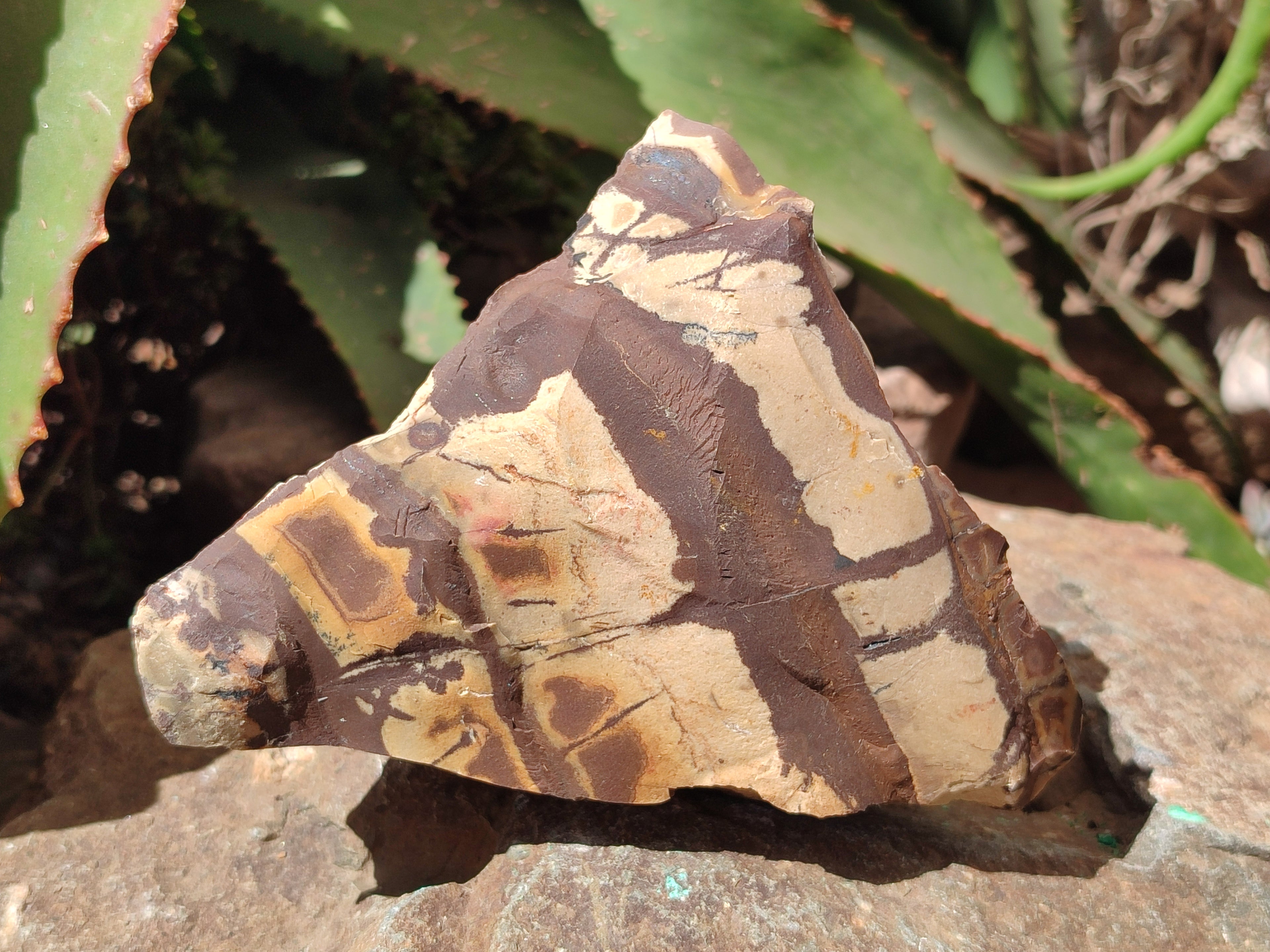 Natural Nguni Jasper Cobbed Specimens x 4 From Prieska, South Africa - Toprock Gemstones and Minerals 