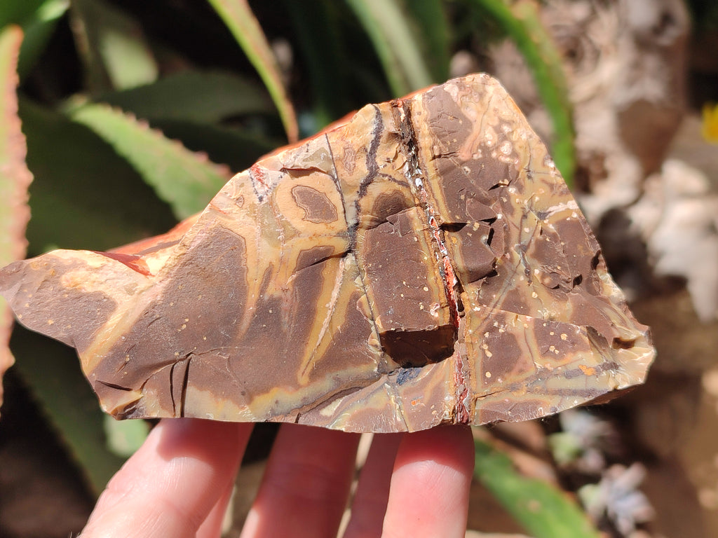 Natural Nguni Jasper Cobbed Specimens x 4 From Prieska, South Africa - Toprock Gemstones and Minerals 