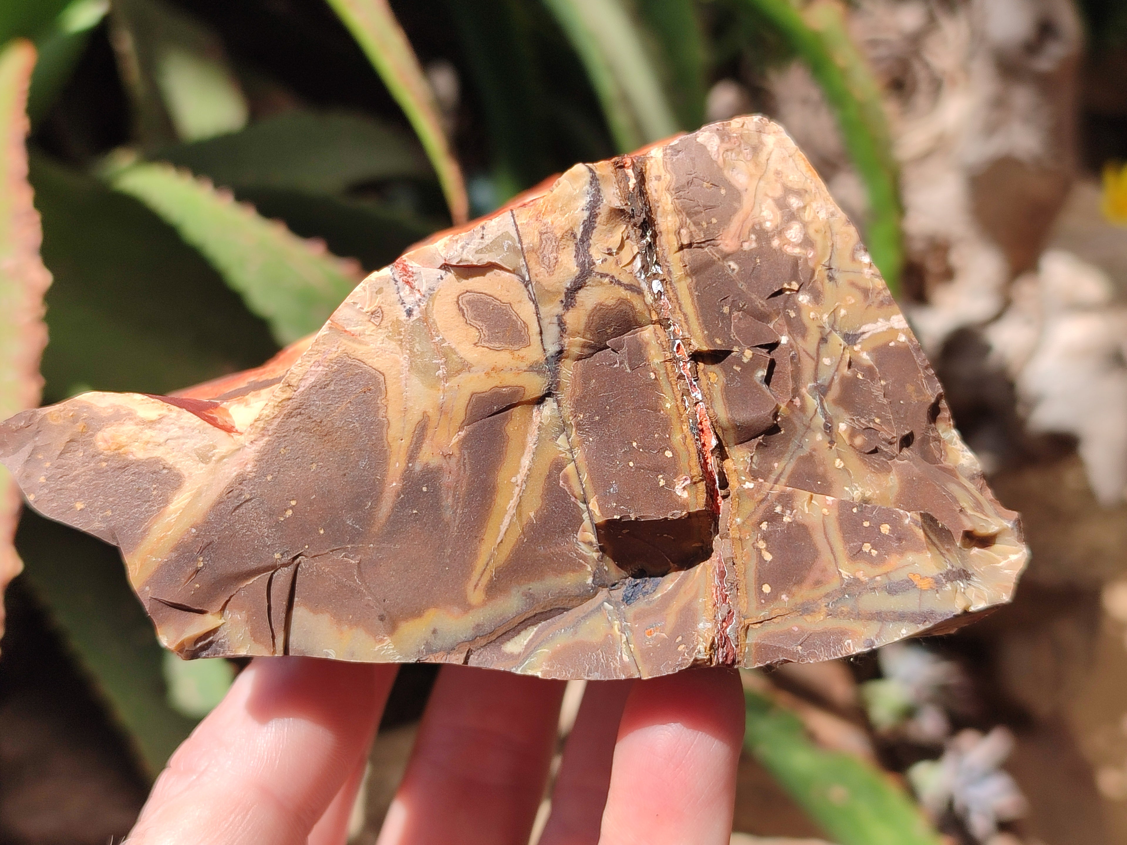 Natural Nguni Jasper Cobbed Specimens x 4 From Prieska, South Africa - Toprock Gemstones and Minerals 
