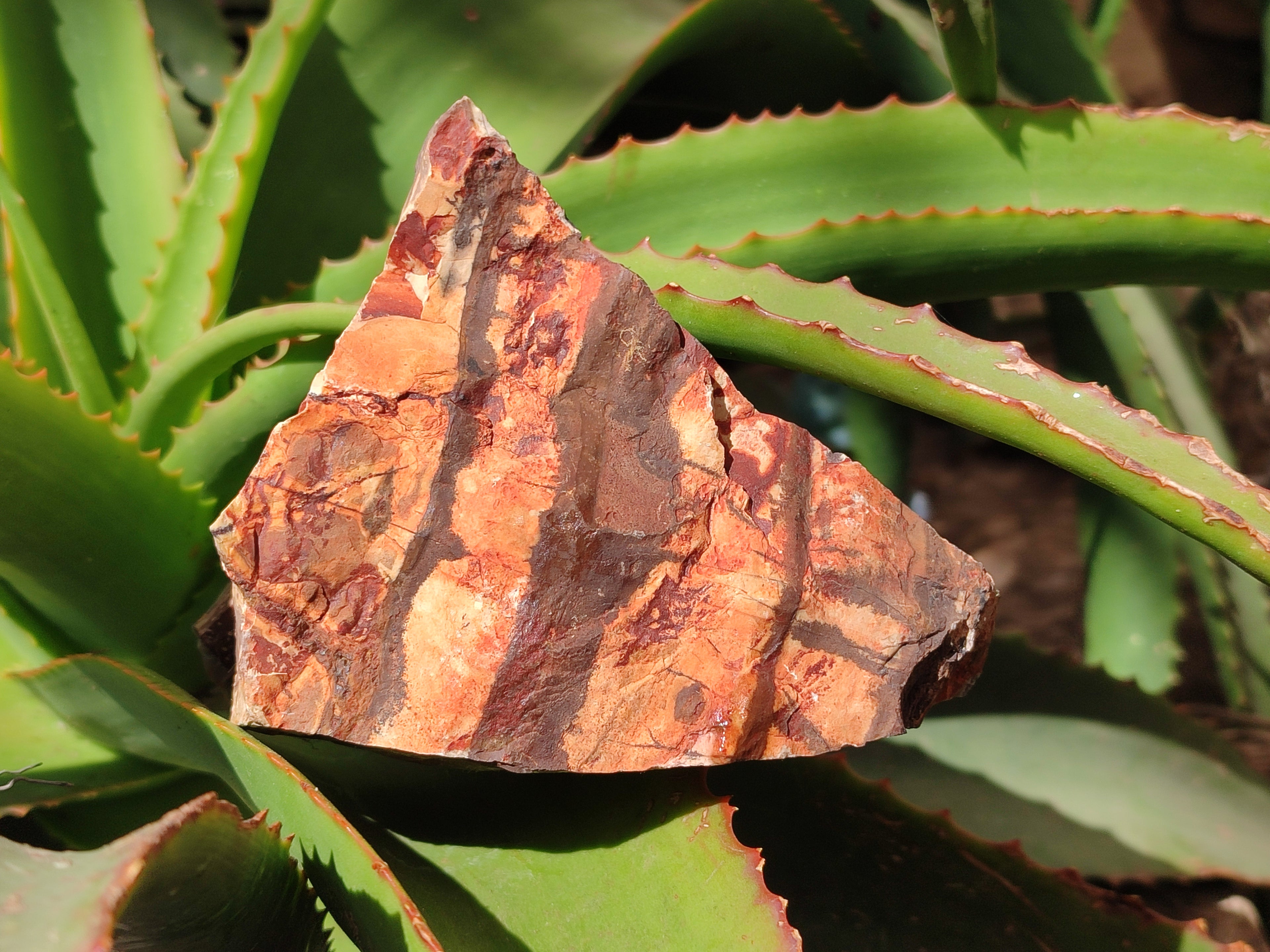 Natural Nguni Jasper Cobbed Specimens x 4 From Prieska, South Africa - Toprock Gemstones and Minerals 