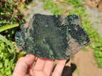 Natural Libethenite Crystals On Dolomite Matrix Specimen x 1 From Shituru, Congo - Toprock Gemstones and Minerals 