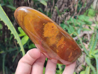 Polished Red Jasper Standing Free Forms x 4 From Madagascar
