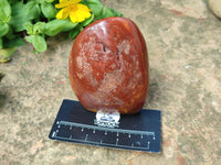Polished Red Jasper Standing Free Forms x 4 From Madagascar