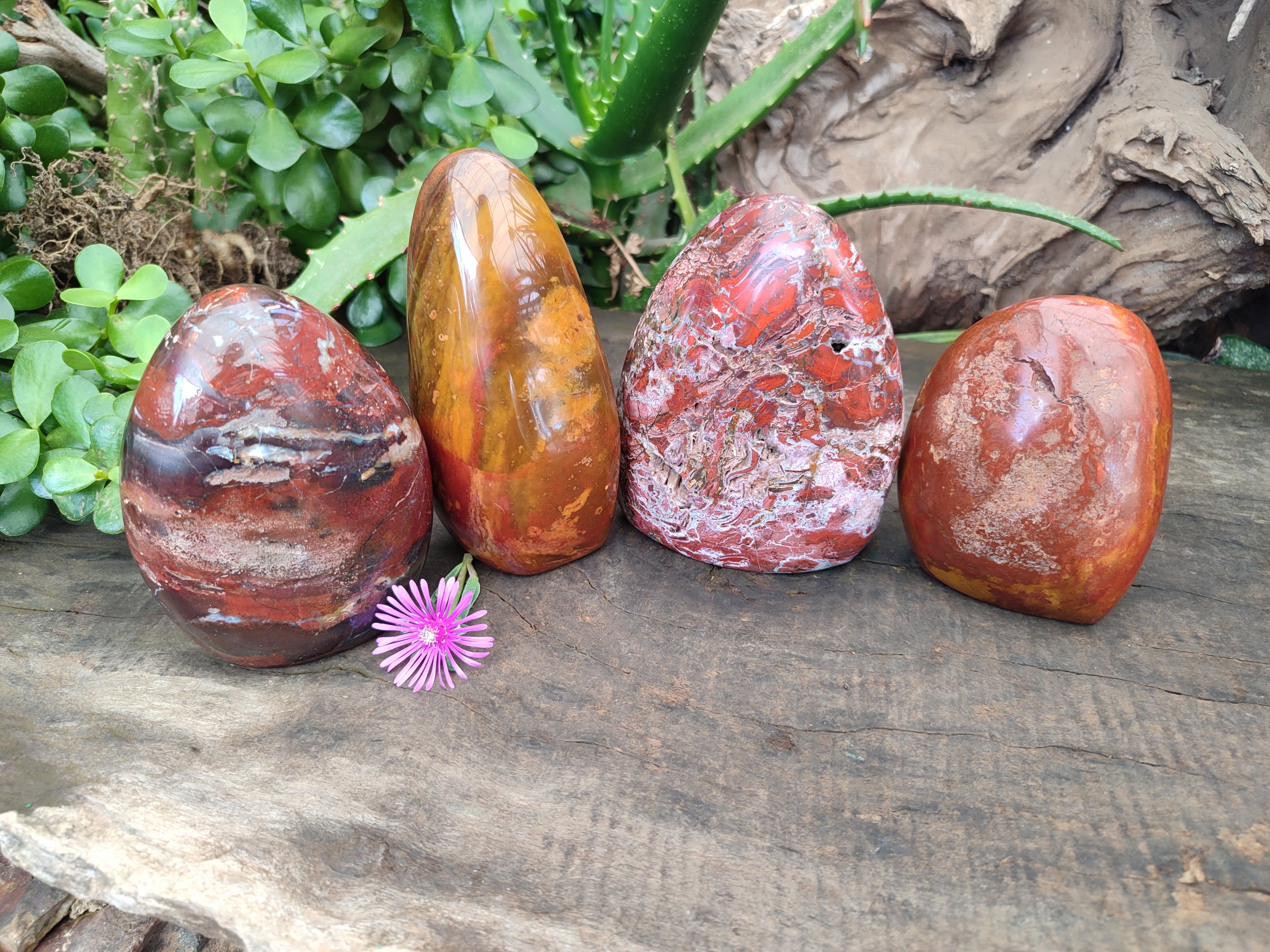 Polished Red Jasper Standing Free Forms x 4 From Madagascar - Toprock Gemstones and Minerals 