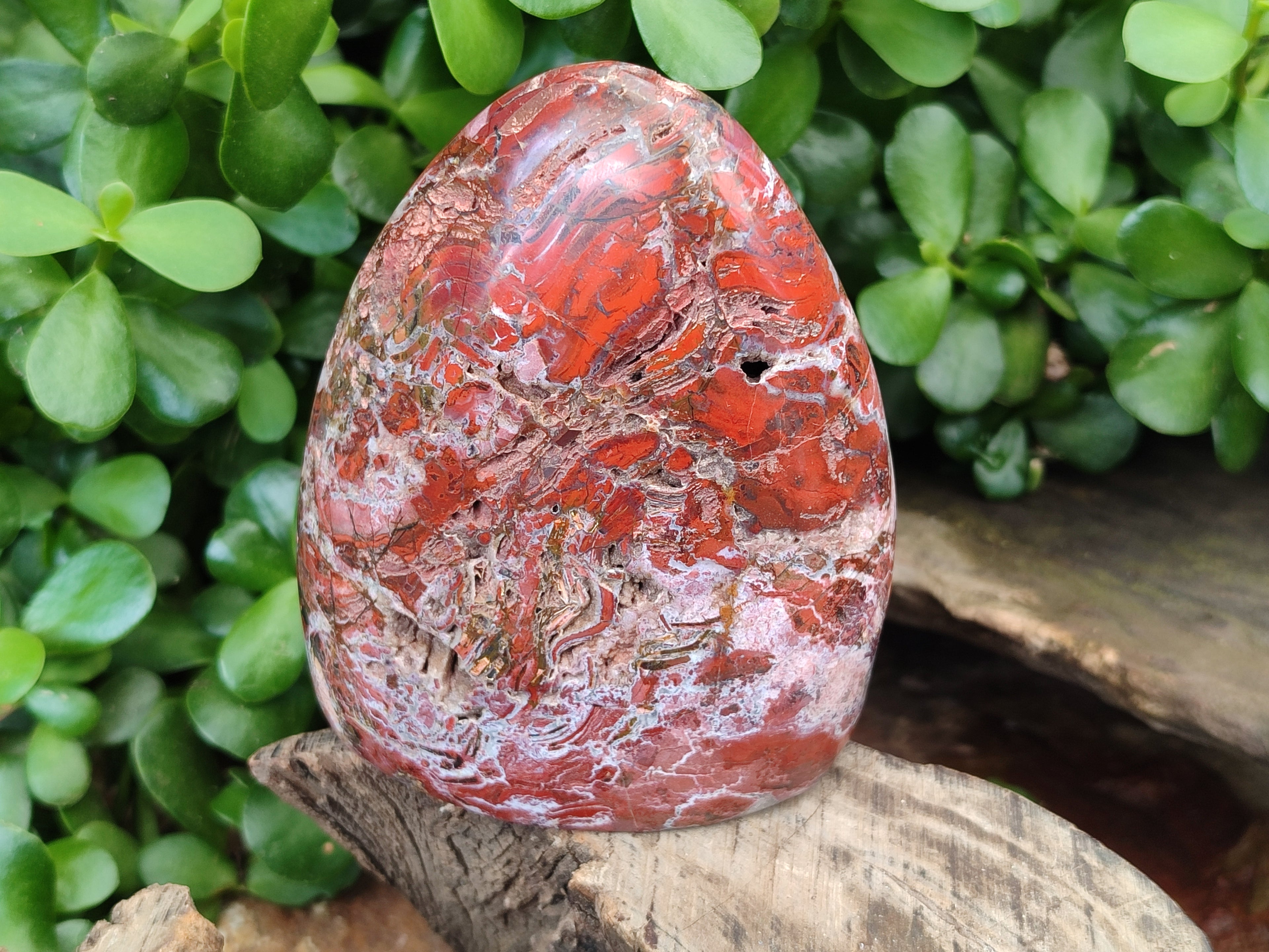 Polished Red Jasper Standing Free Forms x 4 From Madagascar - Toprock Gemstones and Minerals 