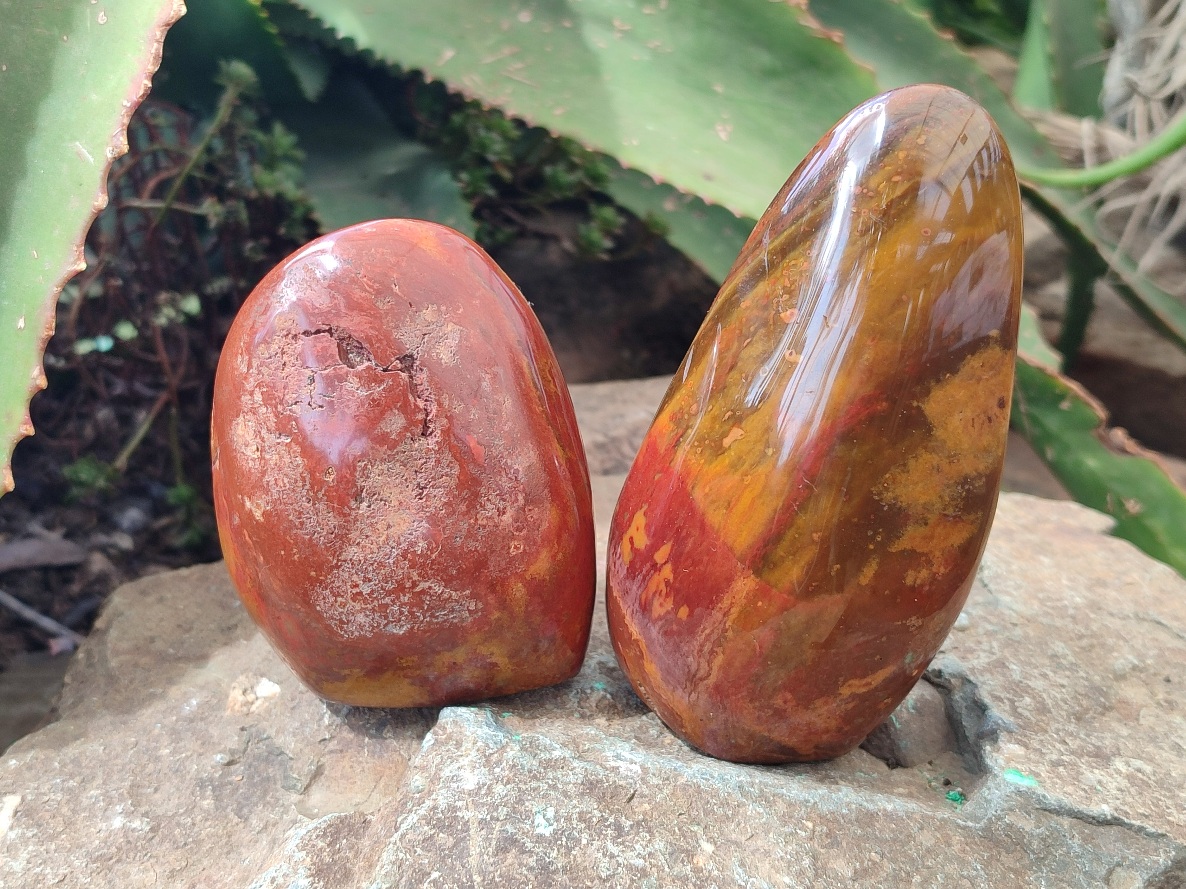 Polished Red Jasper Standing Free Forms x 4 From Madagascar - Toprock Gemstones and Minerals 