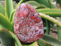 Polished Red Jasper Standing Free Forms x 4 From Madagascar