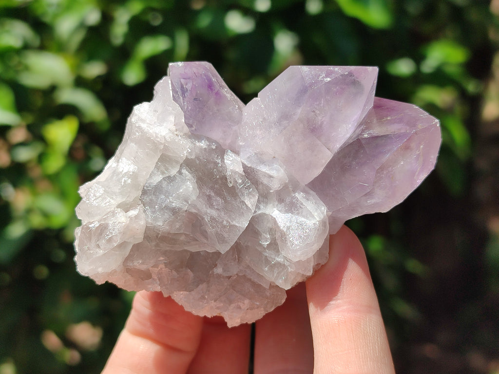 Natural Jacaranda Amethyst Quartz Clusters x 6 from Mumbwa, Zambia - Toprock Gemstones and Minerals 