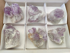 Natural Jacaranda Amethyst Quartz Clusters x 6 from Mumbwa, Zambia - Toprock Gemstones and Minerals 
