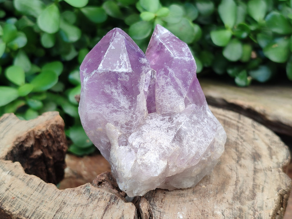 Natural Jacaranda Amethyst Quartz Clusters x 6 from Mumbwa, Zambia - Toprock Gemstones and Minerals 