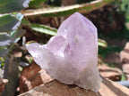 Natural Jacaranda Amethyst Quartz Clusters x 6 from Mumbwa, Zambia - Toprock Gemstones and Minerals 