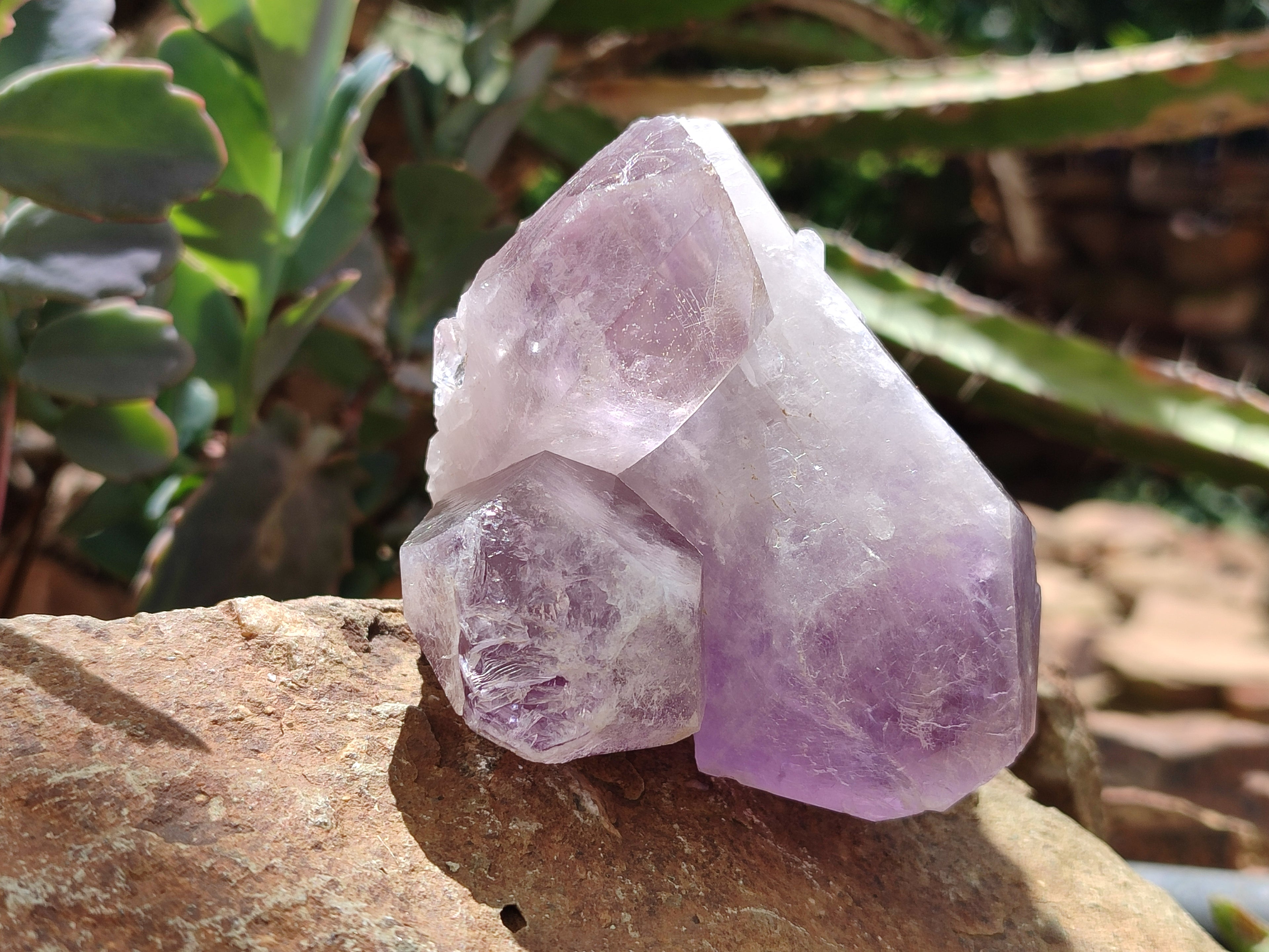Natural Jacaranda Amethyst Quartz Clusters x 6 from Mumbwa, Zambia - Toprock Gemstones and Minerals 