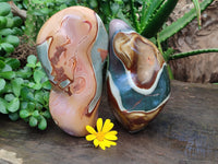 Polished Polychrome Jasper Standing Free Forms x 2 From Mahajanga, Madagascar - Toprock Gemstones and Minerals 