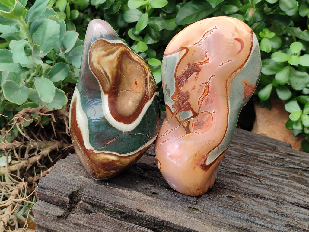 Polished Polychrome Jasper Standing Free Forms x 2 From Mahajanga, Madagascar - Toprock Gemstones and Minerals 