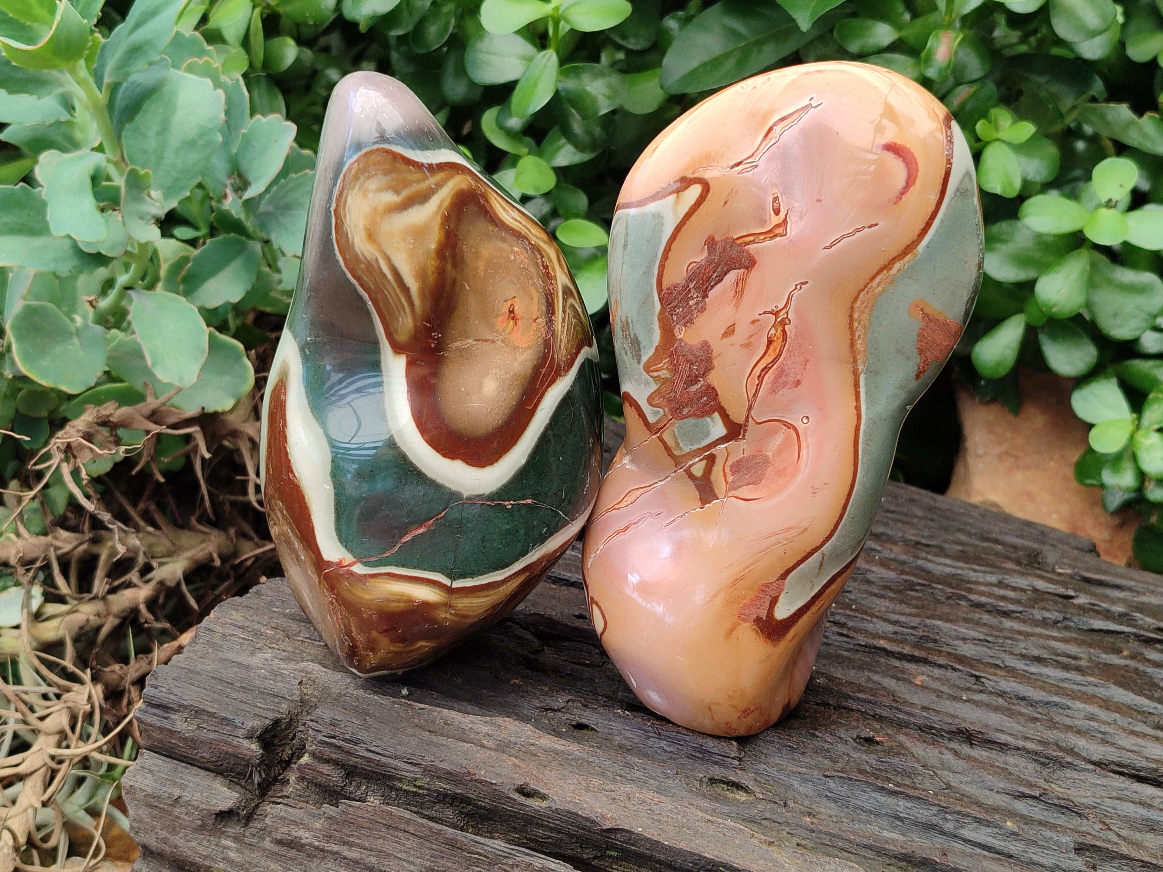 Polished Polychrome Jasper Standing Free Forms x 2 From Mahajanga, Madagascar - Toprock Gemstones and Minerals 