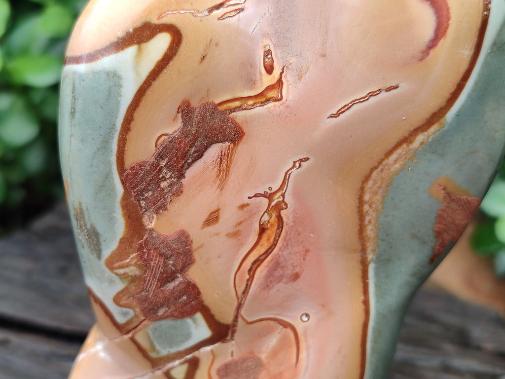 Polished Polychrome Jasper Standing Free Forms x 2 From Mahajanga, Madagascar - Toprock Gemstones and Minerals 