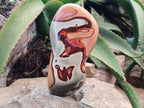 Polished Polychrome Jasper Standing Free Forms x 2 From Mahajanga, Madagascar - Toprock Gemstones and Minerals 