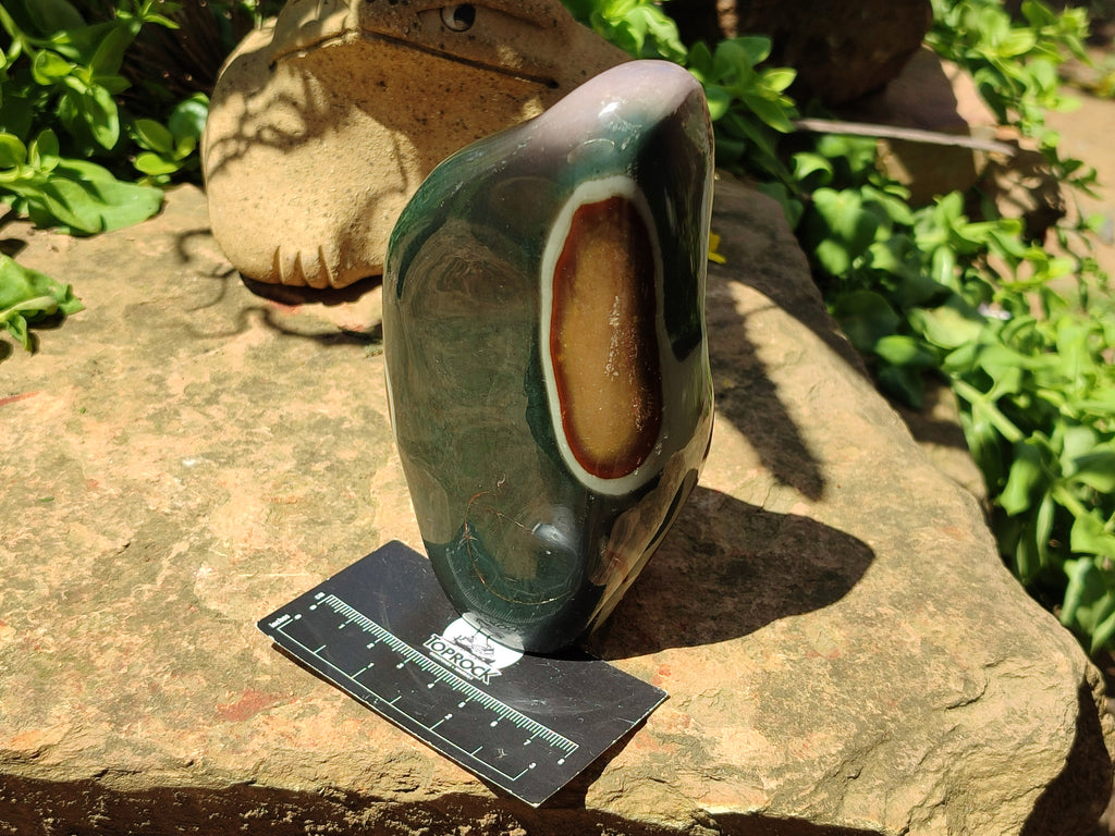 Polished Polychrome Jasper Standing Free Forms x 2 From Mahajanga, Madagascar - Toprock Gemstones and Minerals 