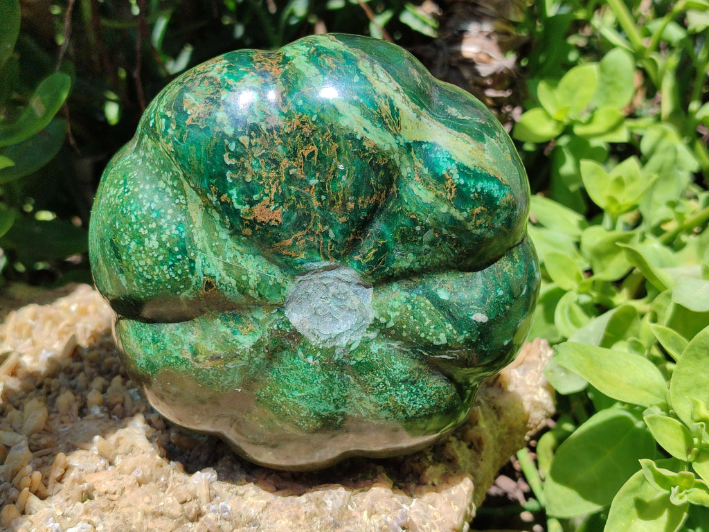 Hand Made Stone Pumpkin Carvings x 2 From Zimbabwe - Toprock Gemstones and Minerals 
