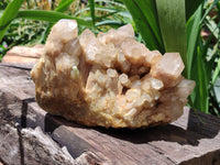 Natural Smokey Phantom Quartz Cluster x 1 From Luena, Congo - Toprock Gemstones and Minerals 