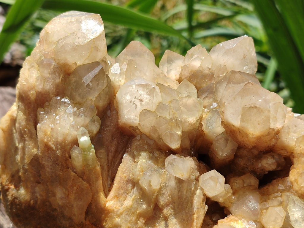 Natural Smokey Phantom Quartz Cluster x 1 From Luena, Congo - Toprock Gemstones and Minerals 