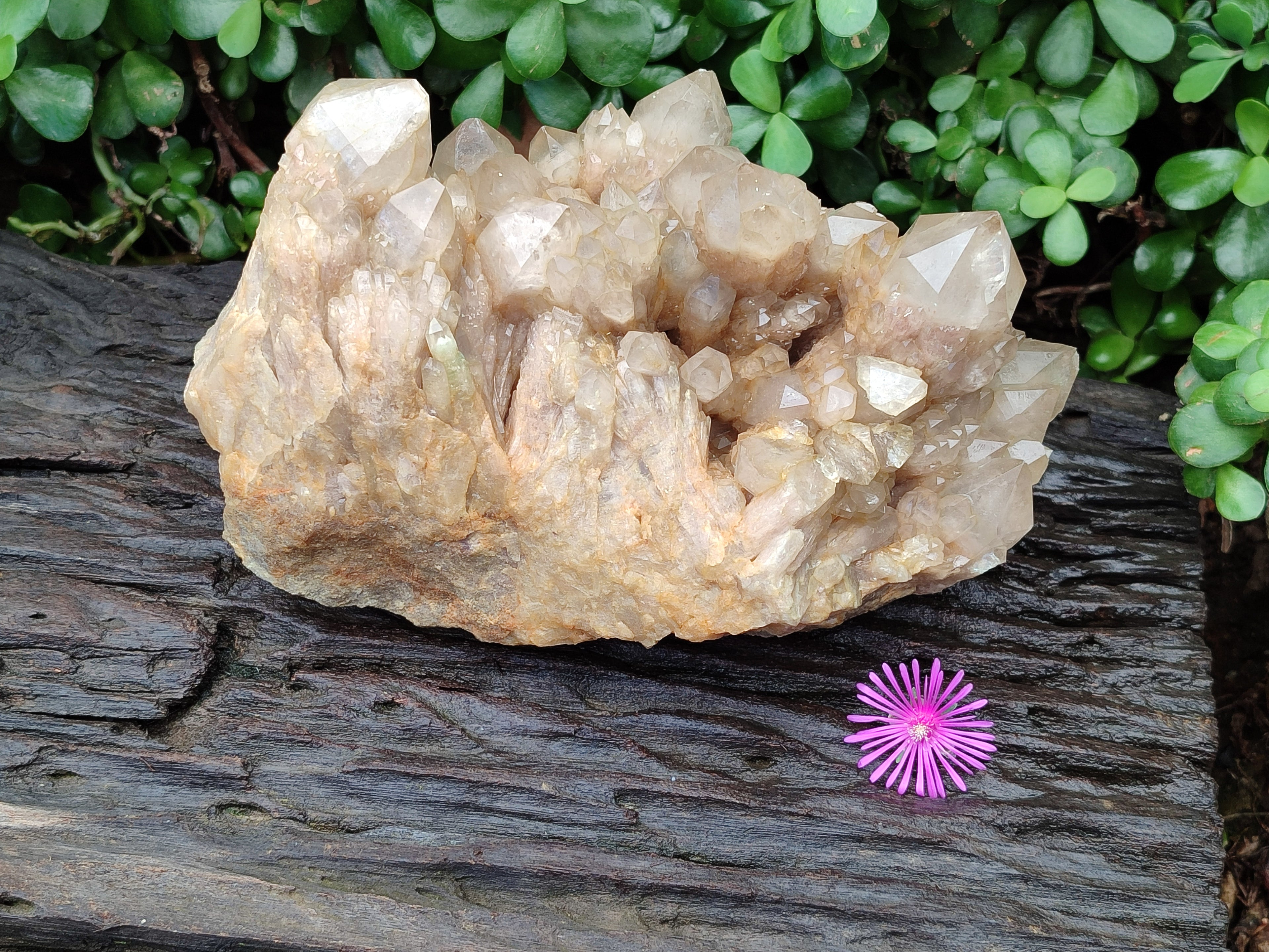 Natural Smokey Phantom Quartz Cluster x 1 From Luena, Congo - Toprock Gemstones and Minerals 