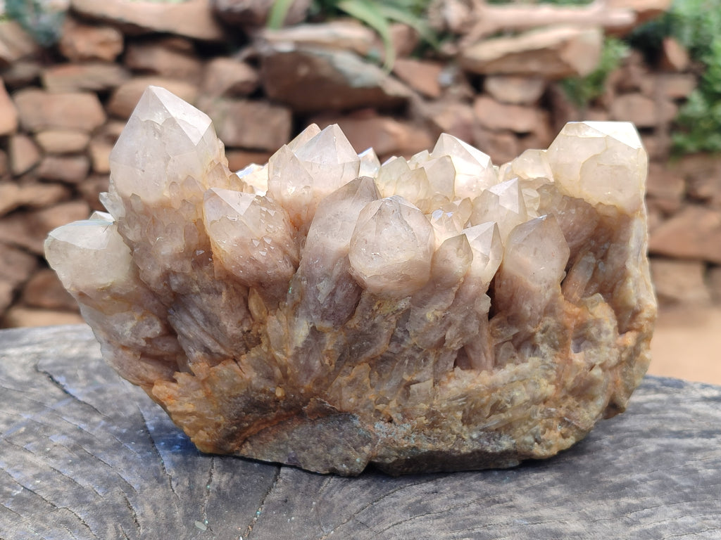 Natural Smokey Phantom Quartz Cluster x 1 From Luena, Congo - Toprock Gemstones and Minerals 