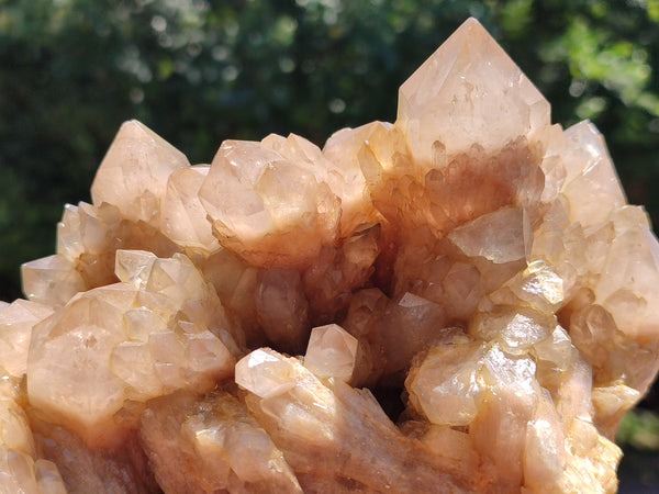 Natural Smokey Phantom Quartz Cluster x 1 From Luena, Congo - Toprock Gemstones and Minerals 