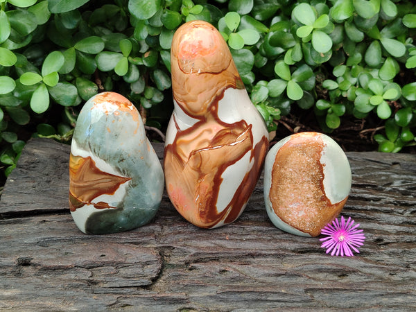 Polished Polychrome Jasper Standing Free Forms x 3 From Mahajanga, Madagascar - Toprock Gemstones and Minerals 