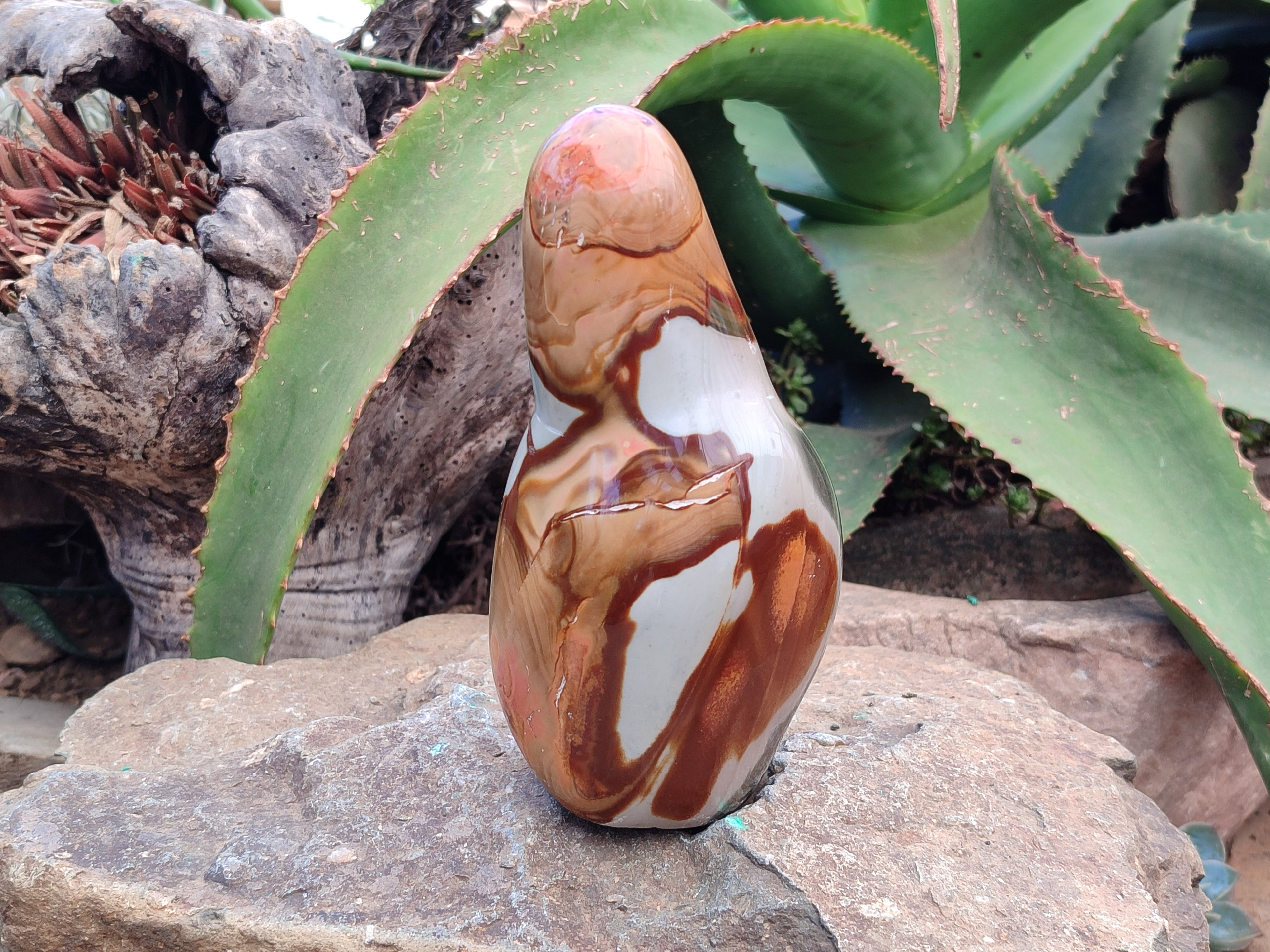 Polished Polychrome Jasper Standing Free Forms x 3 From Mahajanga, Madagascar - Toprock Gemstones and Minerals 