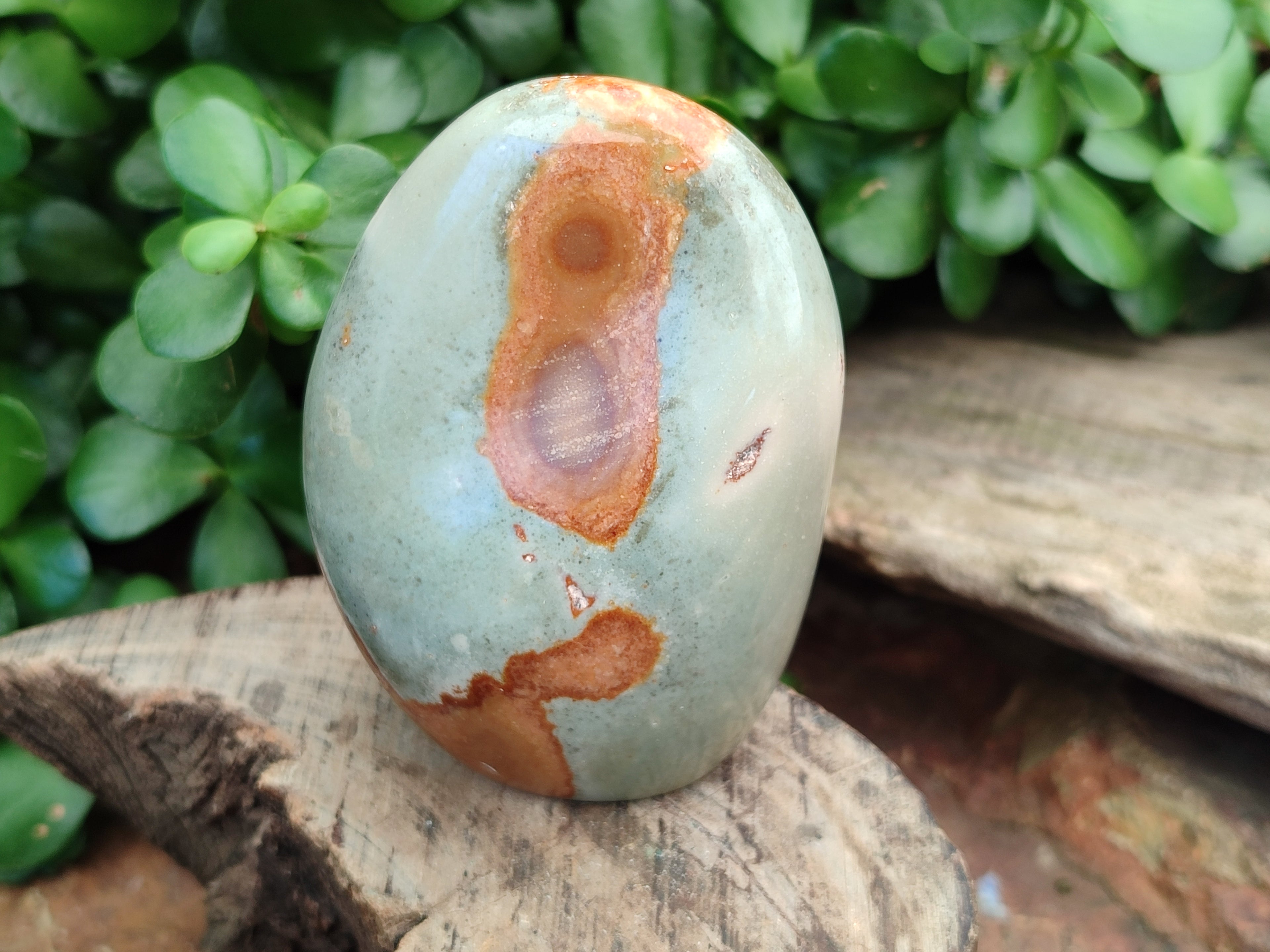Polished Polychrome Jasper Standing Free Forms x 3 From Mahajanga, Madagascar - Toprock Gemstones and Minerals 