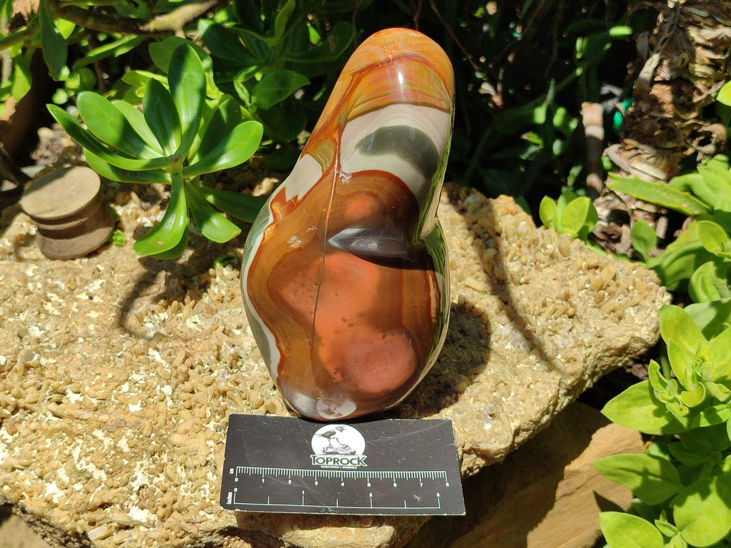 Polished Polychrome Jasper Standing Free Forms x 3 From Mahajanga, Madagascar - Toprock Gemstones and Minerals 