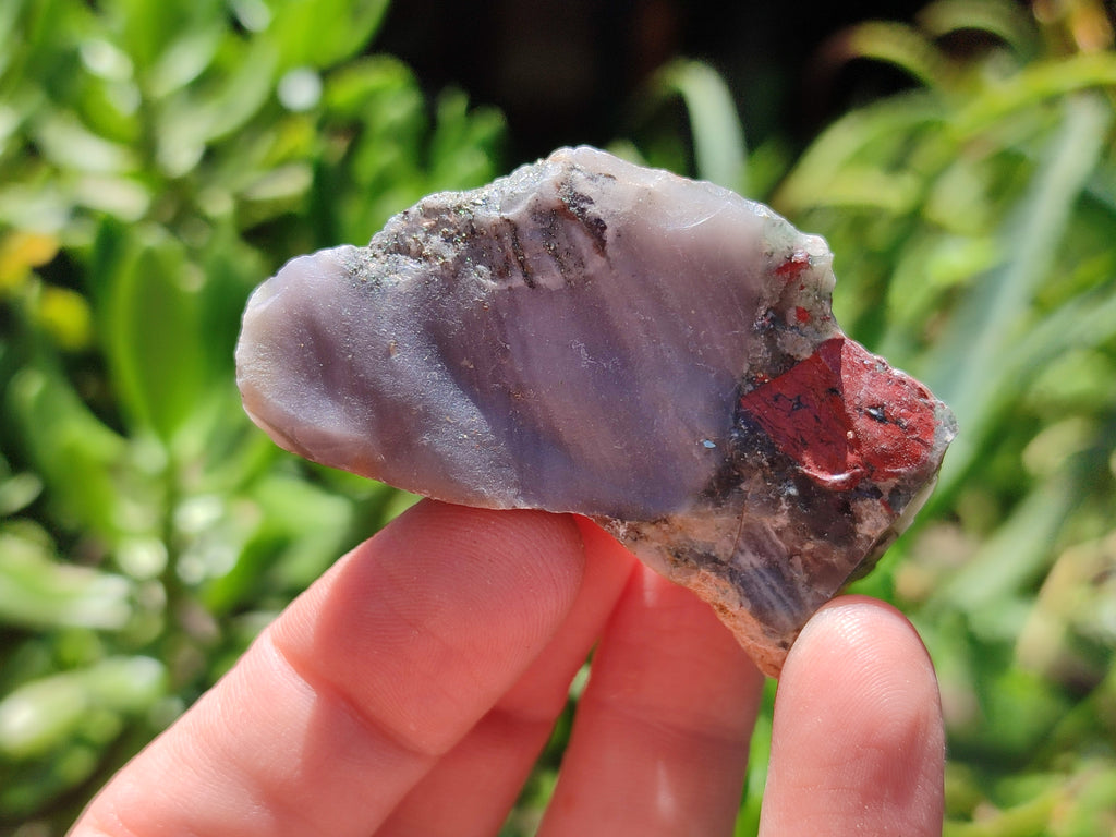 Natural Bloodstone Cobbed Specimens x 3 Kg Lot From Swaziland - Toprock Gemstones and Minerals 