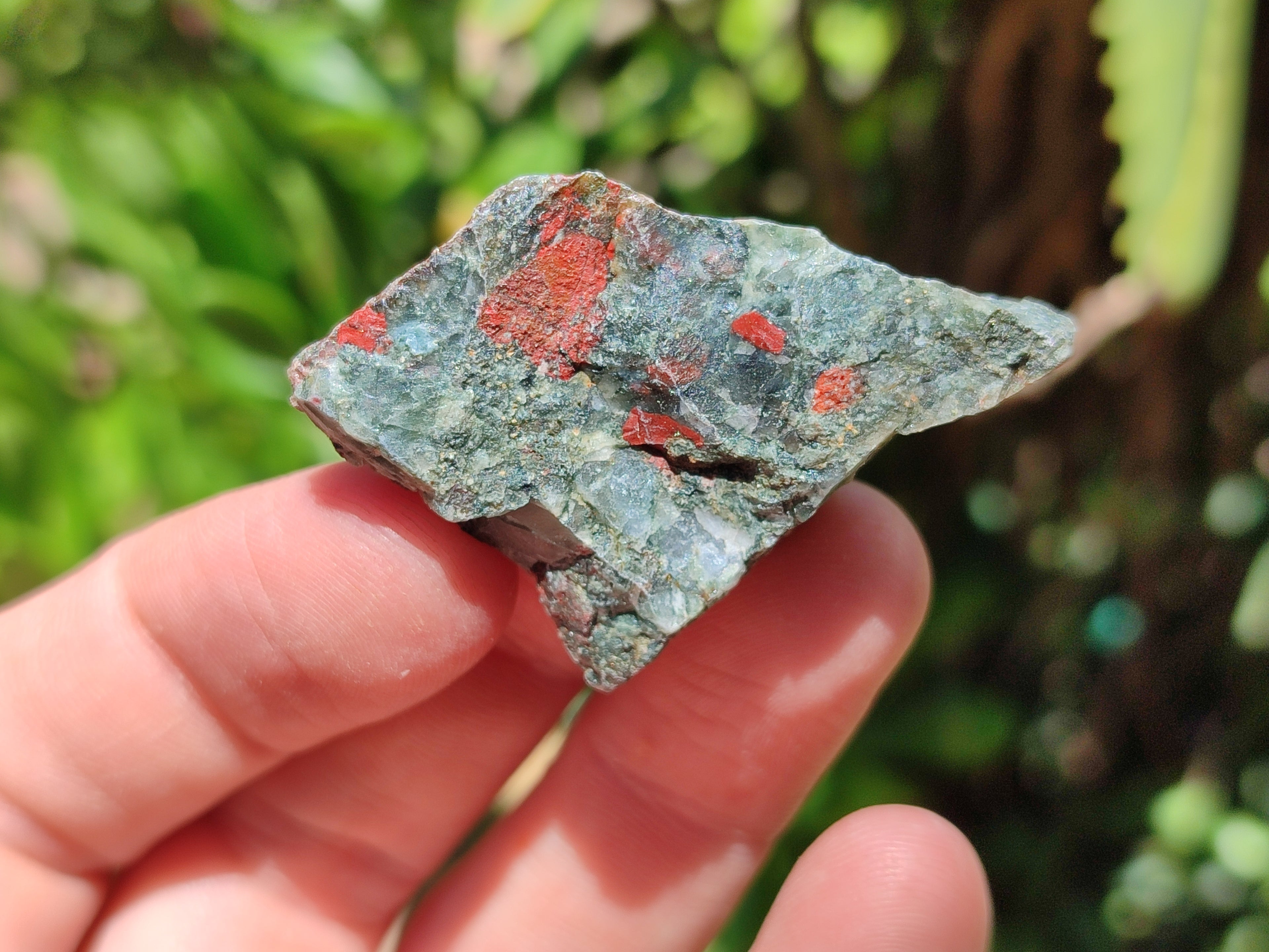 Natural Bloodstone Cobbed Specimens x 3 Kg Lot From Swaziland - Toprock Gemstones and Minerals 