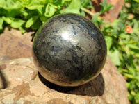 Polished Pharaoh Stone Spheres x 3 From Zimbabwe - Toprock Gemstones and Minerals 